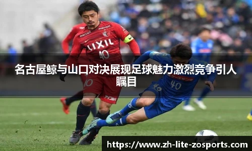 中欧体育官方网站